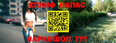 стаф Заволжье
