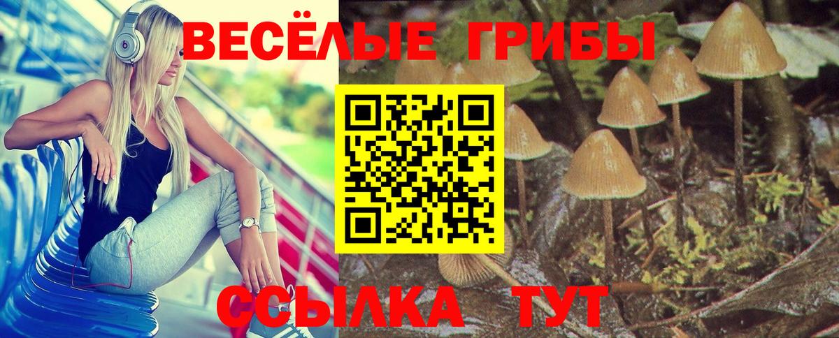 Псилоцибиновые грибы GOLDEN TEACHER  Вход с VPN  Луховицы 